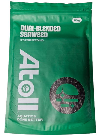 Tangalicious - Tang Diet Dual Blended Nori