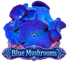 Blue Discosoma Mushroom