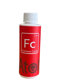 Fishless Cycle