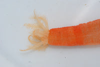 Red Medusa Worm
